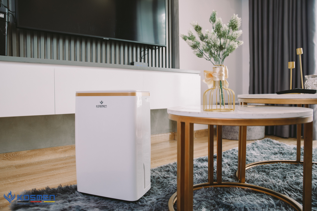 Máy Hút Ẩm Không Khí Loại Nào Tốt? Top 5+ Máy Tốt Nhất 2026